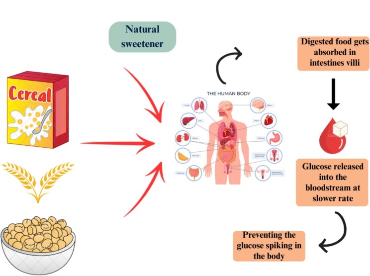 Australian pantry staples grouped by glycemic response
